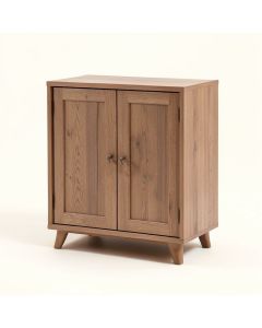 Kamila 2 Door Accent Cabinet (synthetic illustration; no displayed measurements)