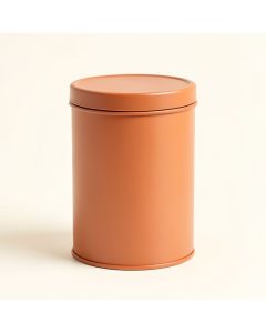 Birch Bend Storage Canister With Lid - Terracotta (synthetic illustration; no displayed measurements)