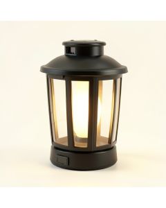 18.5 '' Solar Powered Integrated Led Lawn Ornament (synthetic illustration; no displayed measurements)
