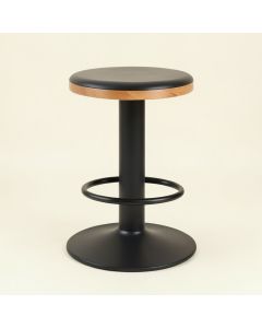 Winterton Adjustable Height Swivel Bar Stool (synthetic illustration; no displayed measurements)