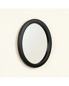 Briar Arc Framed Wall Mirror (synthetic illustration; no displayed measurements)