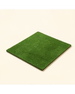 Cordelia Seaturtle Welcome Non-Slip Indoor/Outdoor Door Mat (synthetic illustration; no displayed measurements)