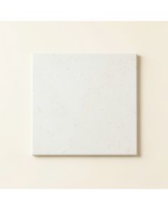 Spruce Branch Uninstalled Square Decorative Tile - White (synthetic illustration; no displayed measurements)