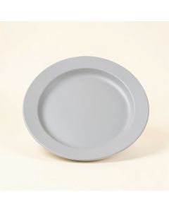Sighwith 9 '' Melamine Salad Plate (synthetic illustration; no displayed measurements)