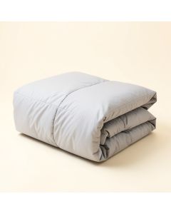 Alanis Comforter Set (synthetic illustration; no displayed measurements)