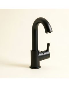 Esina Pull Down Single Handle Kitchen Faucet (synthetic illustration; no displayed measurements)