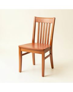 Shore Bend Dining Chair - Terracotta (synthetic illustration; no displayed measurements)