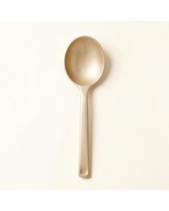 Alder Brook Cooking Spoon - Beige (synthetic illustration; no displayed measurements)