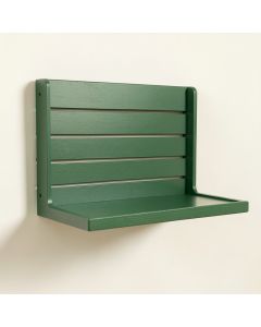 Ridge Crossing Wall-Mounted Entryway Organizer Shelf - Green (synthetic illustration; no displayed measurements)