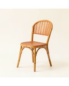 Fern Edge Dining Chair - Terracotta (synthetic illustration; no displayed measurements)