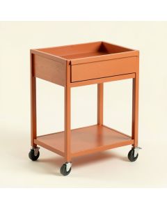 Rowan Bluff Empty Rolling Workshop Cart - Terracotta (synthetic illustration; no displayed measurements)