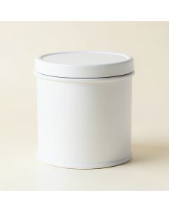 Aspen Branch Storage Canister With Lid - White (synthetic illustration; no displayed measurements)