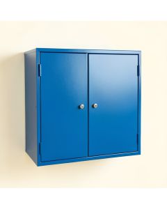 Ridge Bridge Wall-Mounted Entry Cabinet - Blue (synthetic illustration; no displayed measurements)