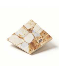 0.5 '' X 1 '' Seashell Mosaic Tile In Natural (synthetic illustration; no displayed measurements)