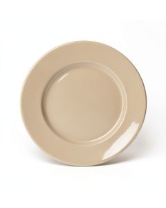 Darrion 11 '' Melamine Dinner Plate (synthetic illustration; no displayed measurements)