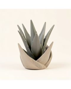 Ralston Spiral Aloe Garden Art (synthetic illustration; no displayed measurements)