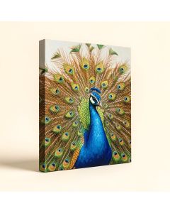 Peacock - Wrapped Canvas Painting Print (synthetic illustration; no displayed measurements)