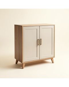 Purvi 2 Door Accent Cabinet (synthetic illustration; no displayed measurements)