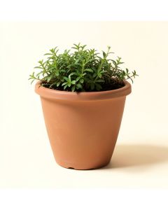 Grand Composite Pot Planter (synthetic illustration; no displayed measurements)