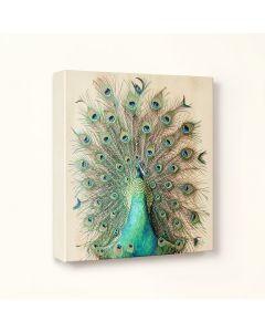 Peacock Garden Vii And Peacock Garden Viii By Anne Tavoletti - 2 (synthetic illustration; no displayed measurements)