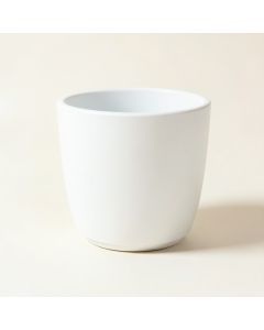 Plastic Wall Planter (synthetic illustration; no displayed measurements)
