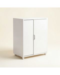 Anzell 2 Door Storage Cabinet (synthetic illustration; no displayed measurements)