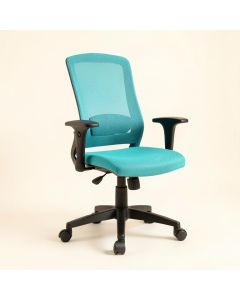 Adjustable Swivel Office Chair Computer Chair Task Chair Mesh Chair , Turquoise (synthetic illustration; no displayed measurements)