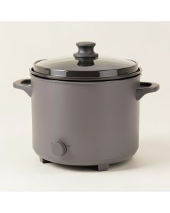 Zing Oval Slow Cooker (synthetic illustration; no displayed measurements)