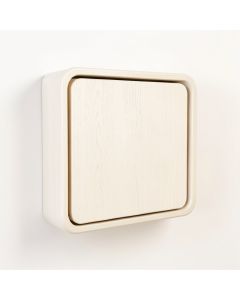 Clay Brook Wall-Mounted Entry Cabinet - Ivory (synthetic illustration; no displayed measurements)