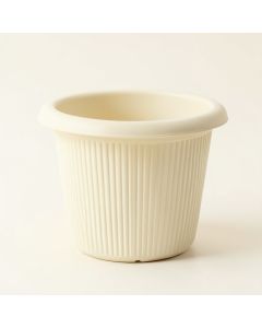 Olive Bridge Empty Planter - Ivory (synthetic illustration; no displayed measurements)