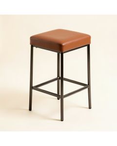 Carmelita Bar & Counter Stool (synthetic illustration; no displayed measurements)