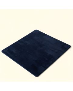 Attles Solid Kids Navy Area Rug (synthetic illustration; no displayed measurements)