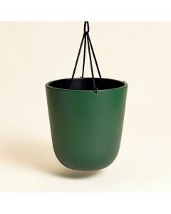 Jake Steel Hanging Planter (synthetic illustration; no displayed measurements)