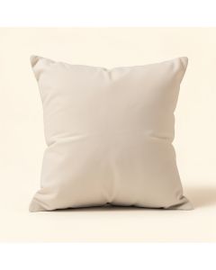 Dee Pintucked Throw Pillow Cover & Insert (synthetic illustration; no displayed measurements)