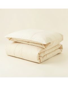 Rosemonde 5 Piece Comforter Set (synthetic illustration; no displayed measurements)