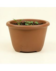 Vanmatre Water Hyacinth Planter Box (synthetic illustration; no displayed measurements)