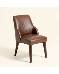Berchmans Synthetic Upholstered Dining Chair (synthetic illustration; no displayed measurements)