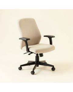Mitzy Task Chair (synthetic illustration; no displayed measurements)