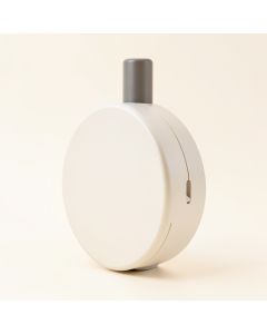 Elk Indoor/Outdoor Wall Clock And Thermometer (synthetic illustration; no displayed measurements)