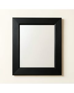 Wren Arc Framed Wall Mirror - Black (synthetic illustration; no displayed measurements)