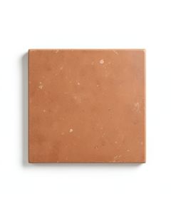 Birch Branch Uninstalled Square Decorative Tile - Terracotta (synthetic illustration; no displayed measurements)