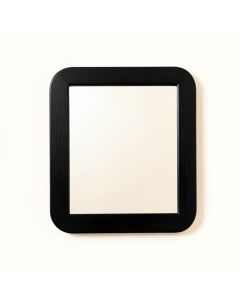 Summit Branch Framed Wall Mirror - Black (synthetic illustration; no displayed measurements)