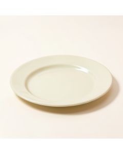 Willsboro Melamine 8.25 '' Salad Plate (synthetic illustration; no displayed measurements)