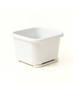 Dawn Arc Empty Raised Planter (synthetic illustration; no displayed measurements)