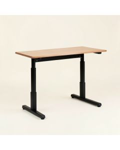 Height Adjustable Standing Gaming Desk (synthetic illustration; no displayed measurements)