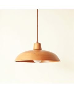 Spruce Bend Pendant Light Suspended From One Plain Cable - Terracotta (synthetic illustration; no displayed measurements)