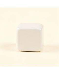 Linden Branch Cabinet Knob Without Packaging - White (synthetic illustration; no displayed measurements)