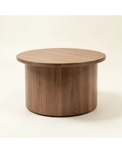 Hailey Solid Coffee Table (synthetic illustration; no displayed measurements)