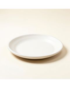 Cape Coral Shell Platter (synthetic illustration; no displayed measurements)
