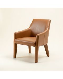 Avilla Upholstered Dining Chair (synthetic illustration; no displayed measurements)